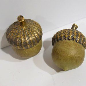 Golden Acorns
